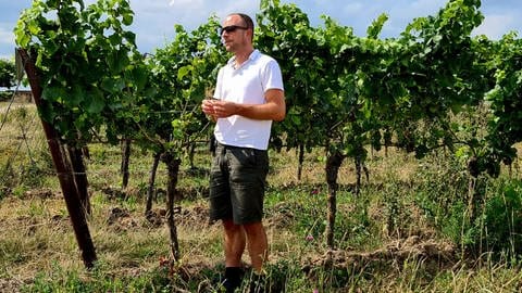 Der Bioland-Winzer Jochen Gradolph setzt in seinem Weingut Neuspergerhof mehr und mehr auf alkoholfreien Wein.