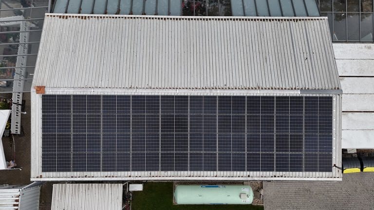 Die neue Solaranlage auf dem Dach der Tafel Ludwigshafen (Foto: Jürgen Hundemer)