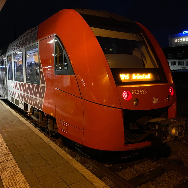 Zug am Bahnhof Frankenthal (Foto: SWR)