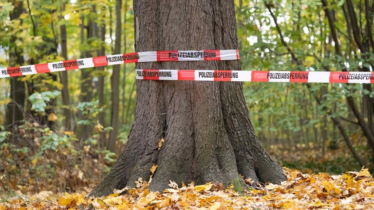 Eine Leiche wurde im Wald bei Wachenheim (Kreis Bad Dürkheim) gefunden (Symbolbild) (Foto: dpa Bildfunk, Picture Alliance)