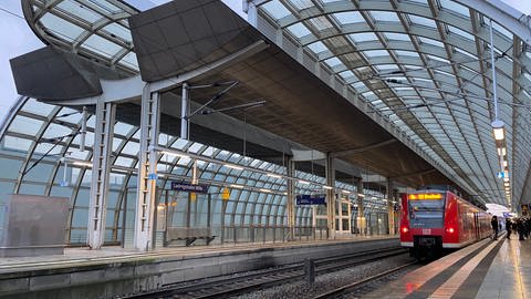 Die S-Bahn Rhein-Neckar besteht seit 20 Jahren. (Foto: SWR)