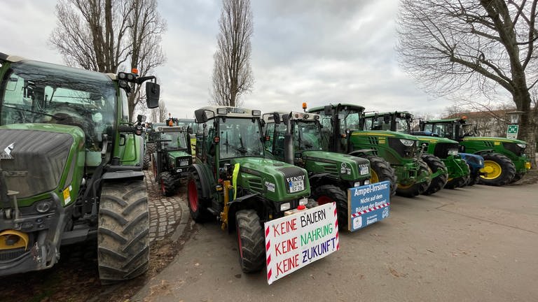 Bauernprotest Ludwigshafen (Foto: SWR)