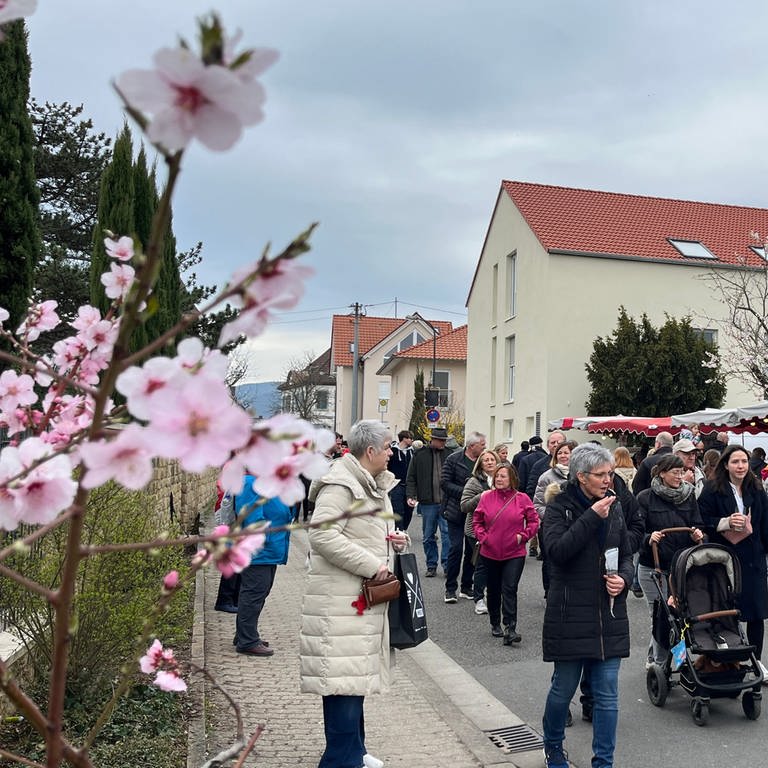 Auch am Sonntag sind die Straßen beim Mandelblütenfest in Gimmeldingen voll mit Menschen.  (Foto: SWR)
