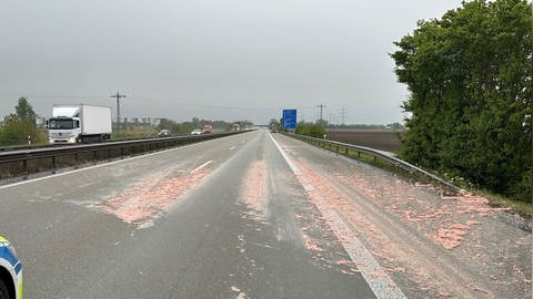 Lkw verliert Teewurst auf der A61 bei Ludwigshafen. (Foto: Polizeidirektion Neustadt/Weinstraße)