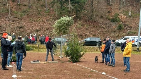 Weihnachtsbaum-Weitwurf beim Knutfest in Weidenthal