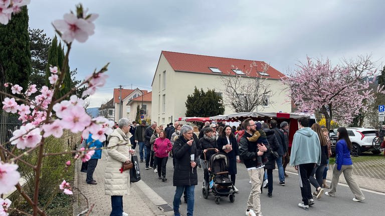 Auch am Sonntag sind die Straßen beim Mandelblütenfest in Gimmeldingen voll mit Menschen. 