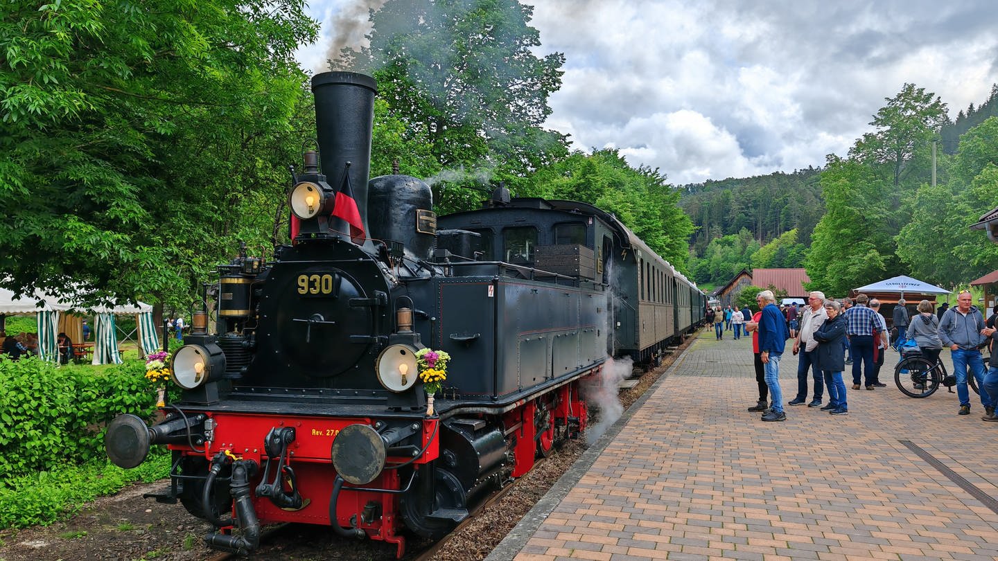 Lokomotiven und Züge am verlängerten Wochenende um Fronleichnam 2024 zum Jubiläum des Kuckucksbähnels in Neustadt (Foto: SWR)