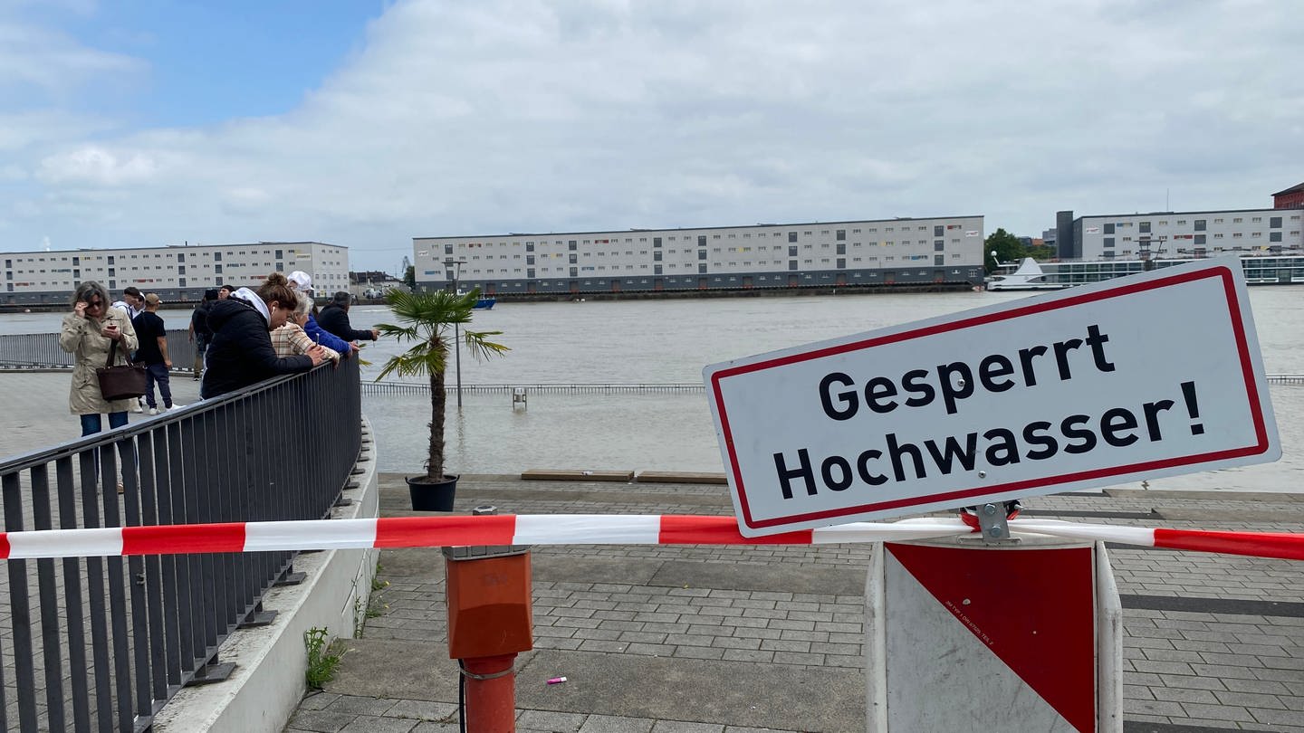 Hochwasser an der Rheingalerie in Ludwigshafen im Juni 2024 (Foto: SWR)
