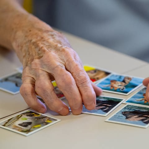 Eine Seniorin spielt  das Spiel "Memory" und legt Kartenpaare zusammen. Alzheimer und andere Demenzerkrankungen gehören nach Angaben der Weltgesundheitsorganisation (WHO) neu zu den zehn häufigsten Todesursachen weltweit. (Foto: dpa Bildfunk, Die lange Suche nach der Therapie - Mainzer Biochemikerin erhält Alzheimer-Preis )
