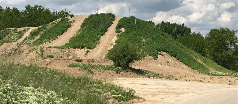 Ein steiler Hügel mit zwei schmalen, ausgefahrenen Wegen im Rhein-Selz-Park (Foto: SWR)
