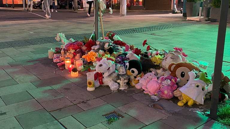 Einen Monat nach dem tödlichen Unfall einer Dreijährigen in Mainz sind die Ermittlungen noch nicht abgeschlossen.  (Foto: SWR, Carina Kopp)