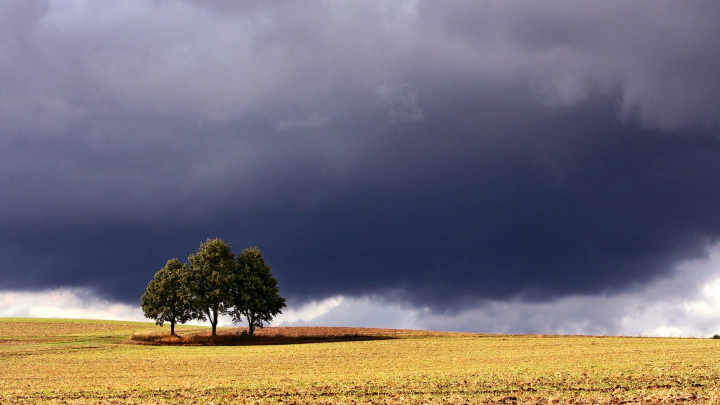 Feld in Franken, dunkle Gewitterwolken im Hintergrund (Symbolbild für Regen im August). (Foto: dpa Bildfunk, Karl-Josef Hildenbrand)