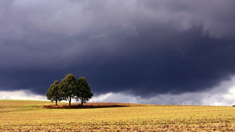 Feld in Franken, dunkle Gewitterwolken im Hintergrund (Symbolbild für Regen im August).