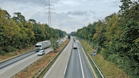 Die A643 führt in Mainz durch das Naturschutzgebiet Mainzer Sand. Rechts und links stehen Bäume. (Foto: SWR, D. Brusch)