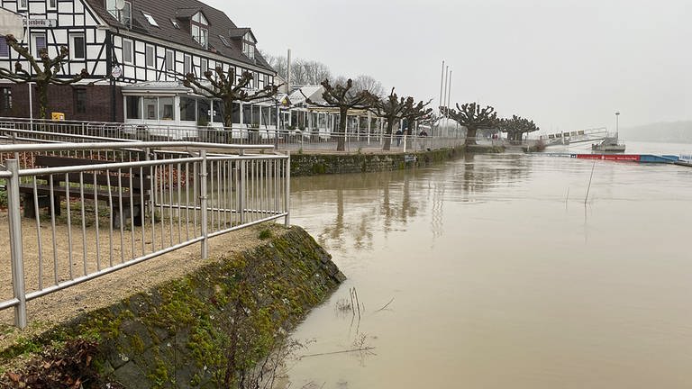 Überflutete Promenade in Worms (Foto: SWR, Sebastian Grom)