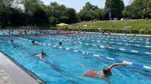 Im Mainzer Taubertsbergbad gibt es im Freibad einen Schwimmer und einen Nichtschwimmerbereich  (Foto: SWR)