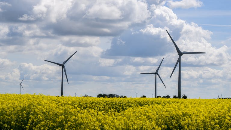 Die Verbandsgemeinde Rüdesheim will einen Solidarfonds für Windkraft gründen. (Foto: picture-alliance / Reportdienste, picture alliance/dpa | Julian Stratenschulte)