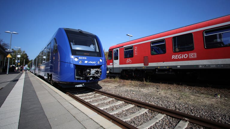 Zwei Züge stehen am Bahnhof. (Foto: dpa Bildfunk, picture alliance / dpa | Fredrik von Erichsen)