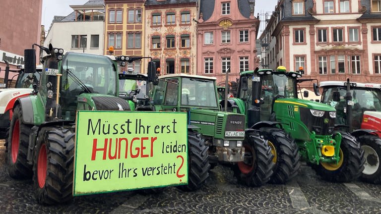 Etwa 100 Landwirte mit ihren Traktoren demonstrieren vor dem Mainzer Dom gegen die Planungen der EU-Kommission, Pflanzenschutzmittel für Schutzzonen zu verbieten.  (Foto: dpa Bildfunk, Picture Alliance)
