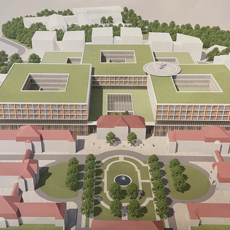 Eine Zeichnung der wichtigen neuen Gebäude auf dem Gelände der Mainzer Unimedizin (Foto: SWR, Universität Mainz)