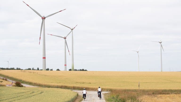 Mehrere Windräder stehen in einem Weizenfeld (Foto: picture-alliance / Reportdienste, picture alliance/dpa | Friso Gentsch)