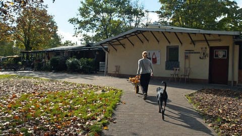 Das Tierheim Ingelheim ist in Not. Es braucht dringend mehr Geld von der Verbandsgemeinde Gau-Algesheim. (Foto: SWR)