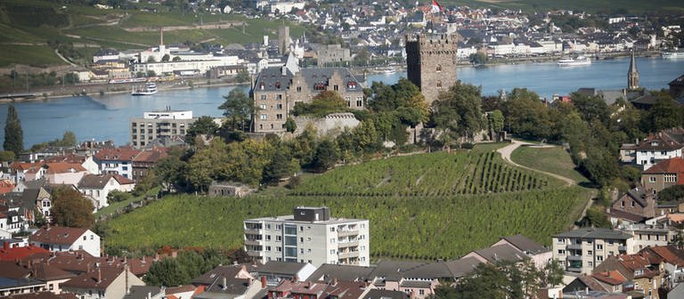 Blick über die Stadt Bingen  (Foto: dpa Bildfunk, Frederik von Erichsen)