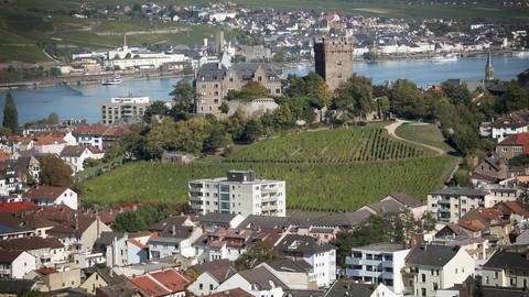 Blick über die Stadt Bingen  (Foto: dpa Bildfunk, Frederik von Erichsen)