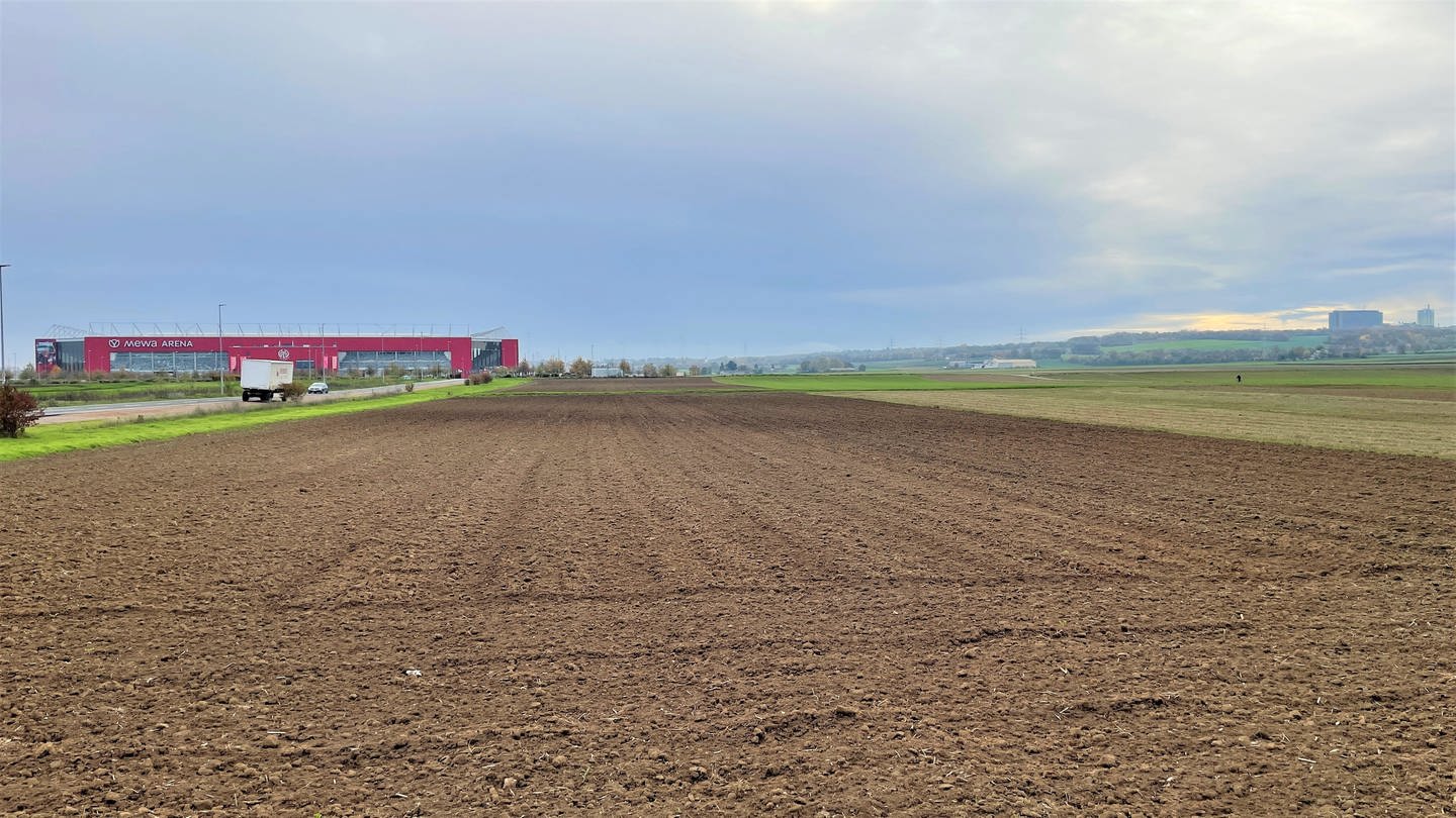 Auf diesen Feldern nahe des Stadions von Mainz 05 soll das geplante Biotechnologie-Areal entstehen. (Foto: SWR)