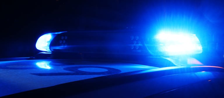 Polizei-Blaulicht an Auto im Dunkeln. (Foto: SWR)