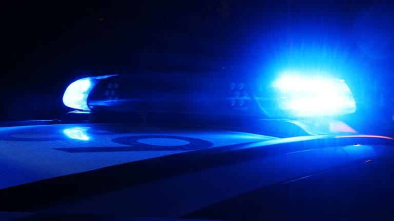 Polizei-Blaulicht an Auto im Dunkeln. (Foto: SWR)