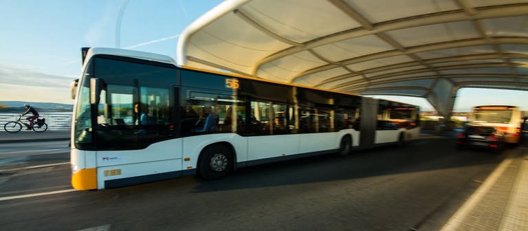 Ein Bus der Mainzer Mobilität. (Foto: dpa Bildfunk, picture alliance/dpa | Andreas Arnold)