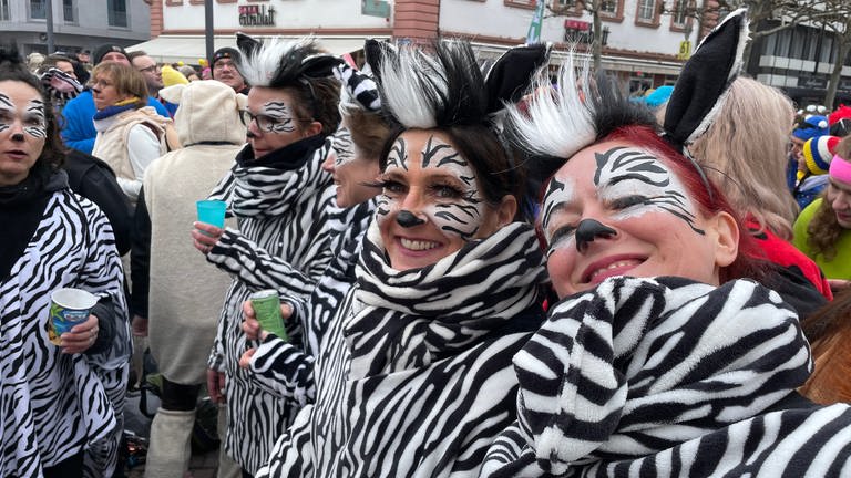 Zebras auf dem Mainzer Schillerplatz (Foto: SWR)