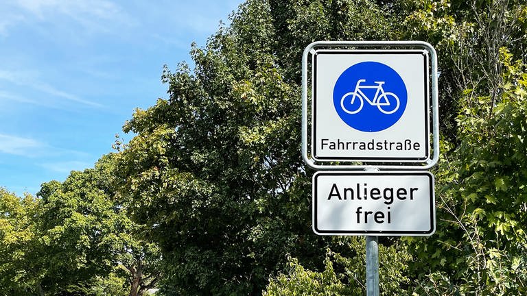 Ein Schild in Mainz weist auf eine Fahrradstraße hin (Foto: SWR)