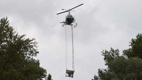 Ein Hubschrauber der KABS ist im Einsatz, um mit einem biologischen Mittel Stechmücken zu bekämpfen (Foto: dpa Bildfunk, picture alliance/dpa | Uli Deck)