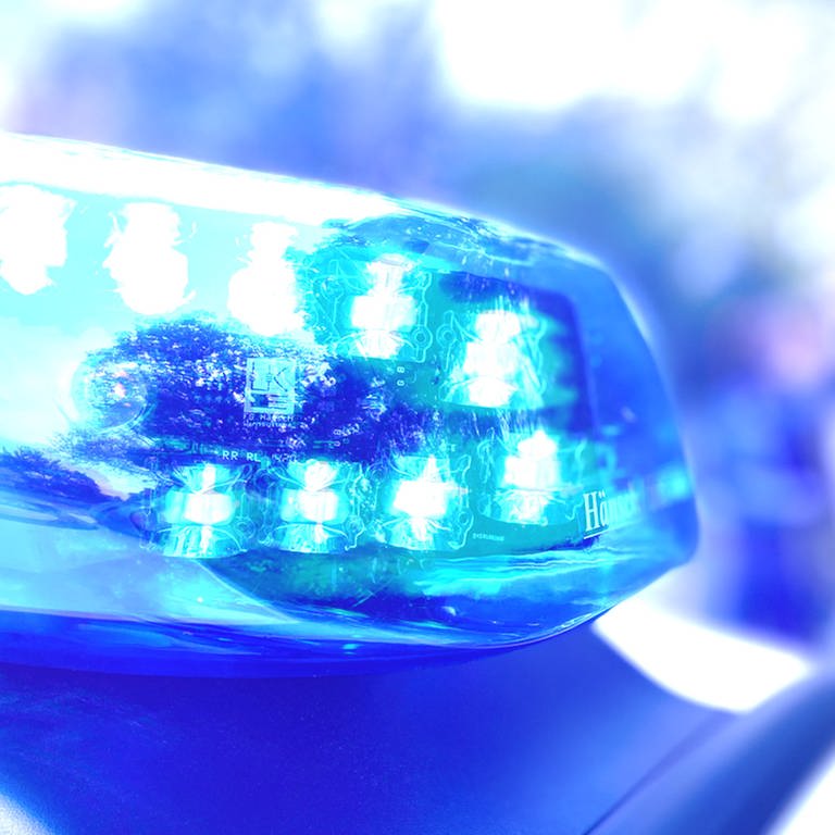 Ein Blaulicht auf einem Polizeiwagen (Foto: SWR, Daniel Brusch)