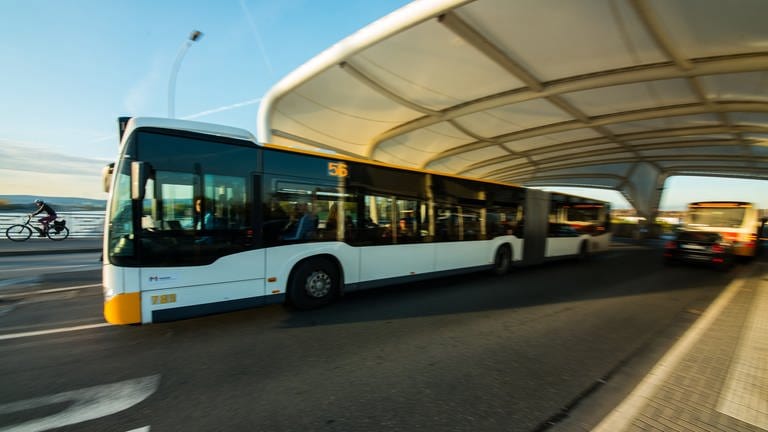 Ein Bus der Mainzer Mobilität. (Foto: dpa Bildfunk, picture alliance/dpa | Andreas Arnold)