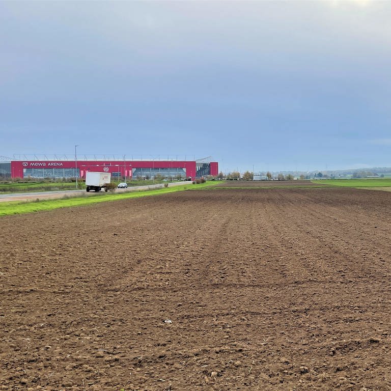 Auf diesen Feldern nahe des Stadions von Mainz 05 soll das geplante Biotechnologie-Areal entstehen. (Foto: SWR)