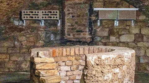 In einer alten Pumpstation in Mainz-Mombach wurde ein Keller für Fledermäuse eingerichtet. Feuchte Luft kommt aus einem alten Brunnen.  (Foto:  Felix Gillenberger)