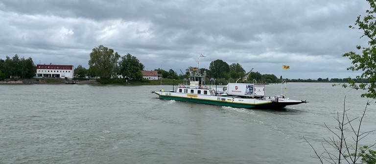Die Rheinfähre ist schon seit vielen Jahren zwischen Nierstein und Kornsand unterwegs. (Foto: SWR, Sarina Fischer)