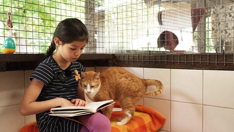 Kinder lesen im Tierheim Ingelheim Katzen vor (Foto: SWR, Anna Zoter)