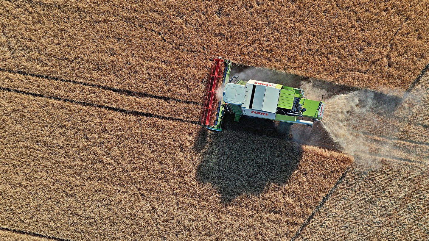 Getreidefeld wird geerntet (Foto: dpa Bildfunk, picture alliance / Daniel Kubirski | Daniel Kubirski)