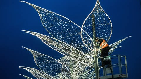 Ein Mann installiert die charakteristische Weihnachtsbeleutung in Form von Lilien vor der Marktkirche in Wiesbaden. Der Sternschnuppenmarkt in der hessischen Landeshauptstadt zählt zu den schönsten im Rhien-Main-Gebiet.  (Foto: dpa Bildfunk,  Andreas Arnold)