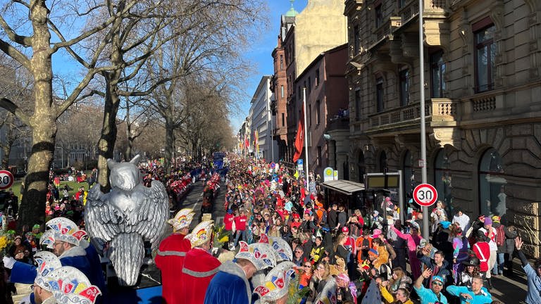 Der Rosenmontagszug in Mainz: Finanzausschuss der Stadt berät über Geld für Mainzer Straßenfastnacht (Foto: SWR)