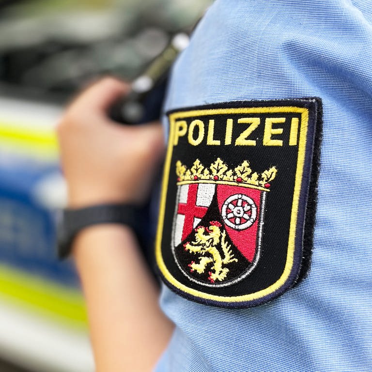 Polizeiauto, daneben Polizist mit Wappen auf Ärmel 