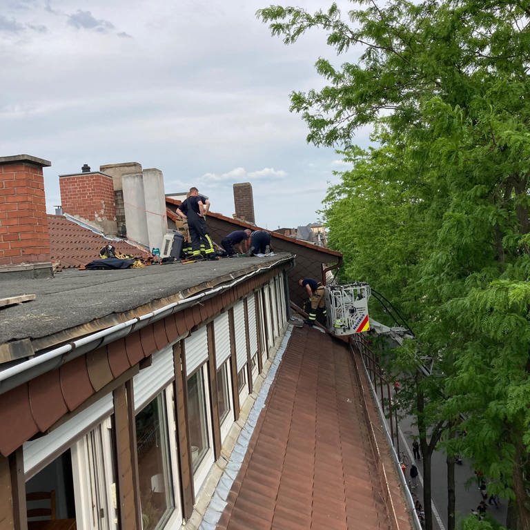 Mehrere Feuerwehrleute versuchen vom Dach aus, die Katze aus dem Spalt zu holen (Foto: Feuerwehr Worms)