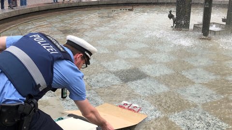 Aus einer Getränkekiste und Plastikplatten hat die Mainzer Polizei eine Entenrampe in den Fastnachtbrunnen gebaut  (Foto: Pressestelle, Polizei Mainz)