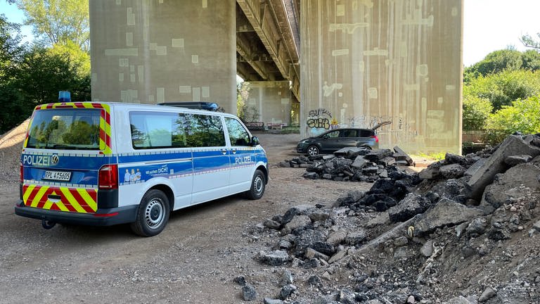 Nach dem Fund einer Leiche an der B48 bei Münster-Sarmsheim ermitteln Polizei und Rechtsmedizin vor Ort.  (Foto: SWR, D. Brusch)