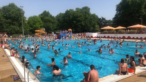 In den Schwimmbecken im Freibad in Mainz-Mombach ist bei der Hitze sehr viel los (Foto: SWR)