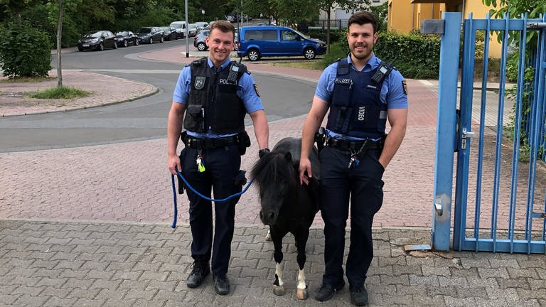 Das entlaufene Pony mit zwei Polizisten der Wache Mainz-Lerchenberg  (Foto: Pressestelle, Polzei Mainz)